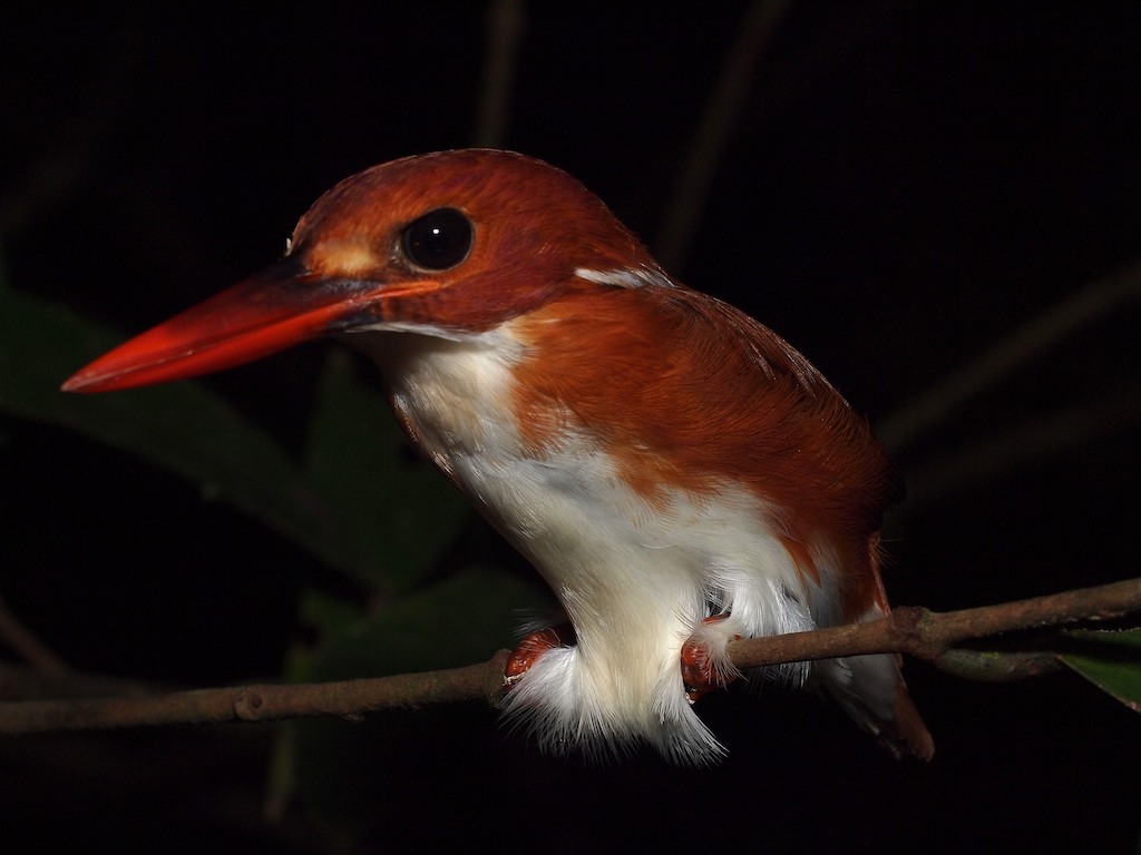 Erfahrungsbericht Madagaskarreise