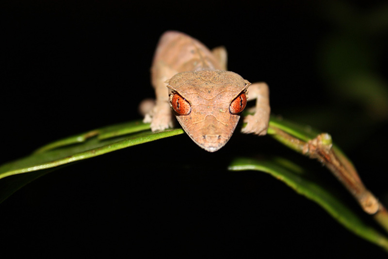 Erfahrungen Madagaskar Reise