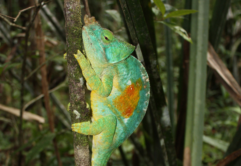 Reisebericht aus Madagaskar