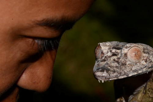Begegnung auf einer Madagaskar Fotoreise
