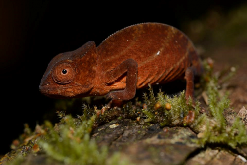 Ergebnis eines Foto-Workshops auf Madagaskar