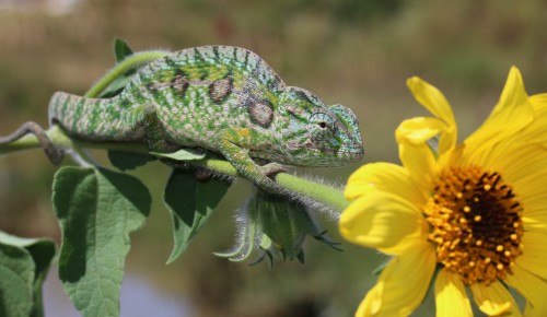 Erfahrungsbericht Reisen auf Madagaskar