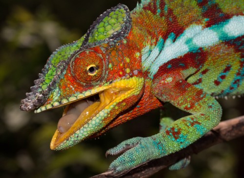 Erfahrungsbericht Madagaskar mit Tanalahorizon