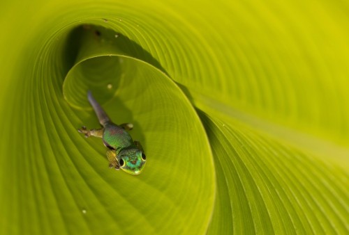 Erfahrungsbericht Madagaskarreise