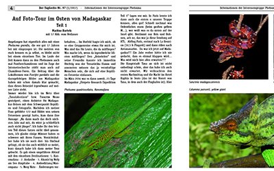Reisebericht Madagaskar