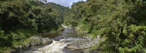 Nationalpark Ranomafana