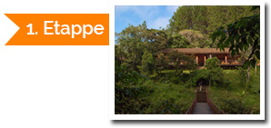 Der Ruf des Urwalds - TANALAHORIZON - Madagaskar-Reisen und Fotoreisen ...