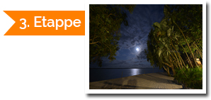 The Call of the Jungle - Tanalahorizon - Madagaskar travels since 1995