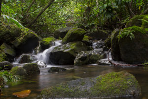 Masoala Wasserlauf