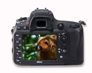Kamera mit Foto Tanalahorizon